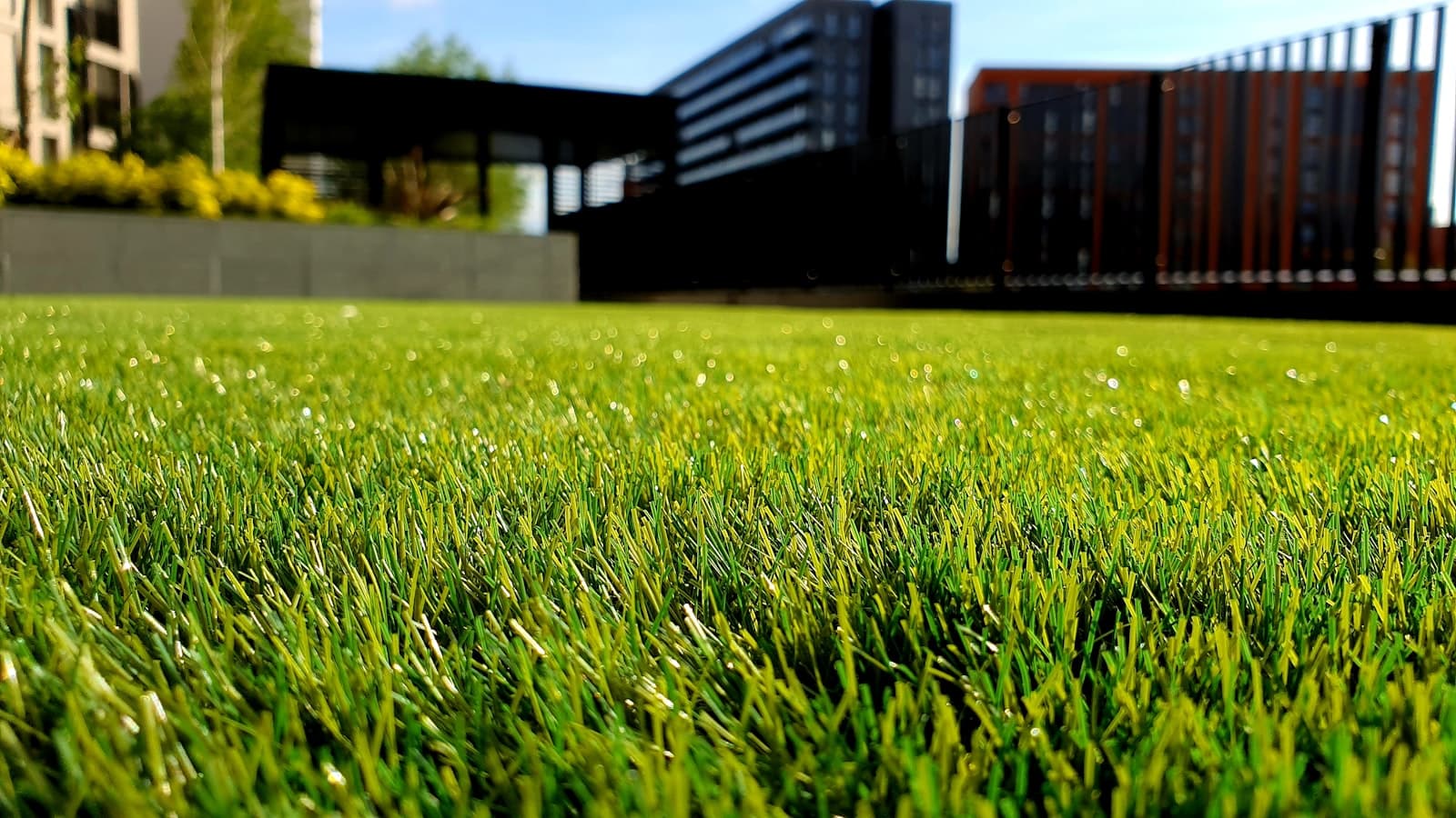 A freshly mown lawn in front of modern buildings